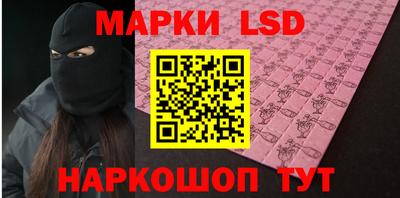 мяу мяу мука Гатчина