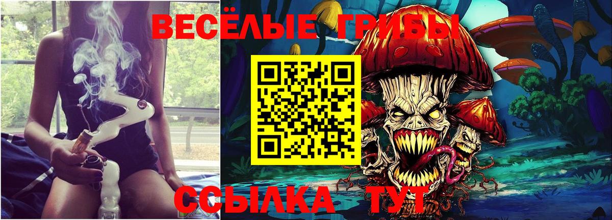 Псилоцибиновые грибы Psilocybine cubensis Улан-Удэ