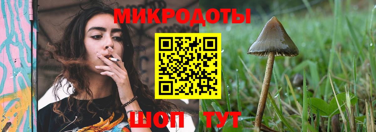 Улан-Удэ  Галлюциногенные грибы прущие грибы  Вход с VPN 